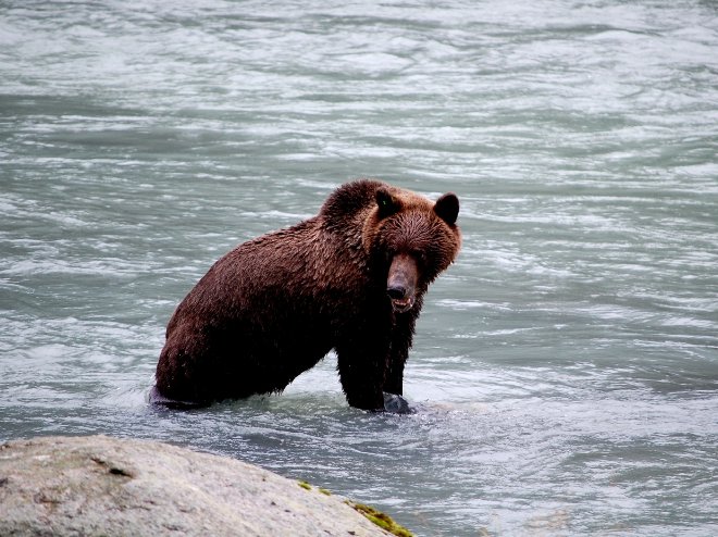 Whitehorse Canada Yukon Camping Trip Blog