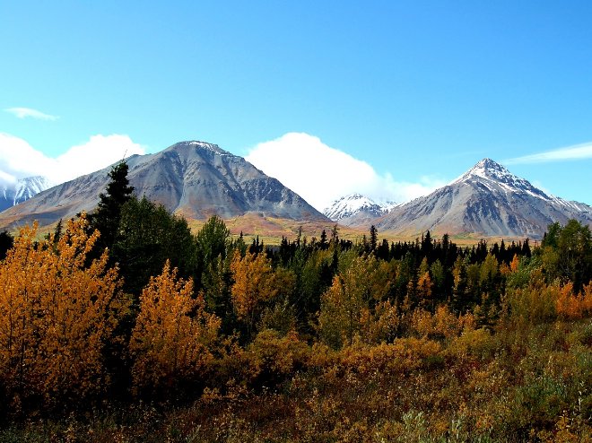 Whitehorse Canada Yukon Camping Trip Vacation Experience