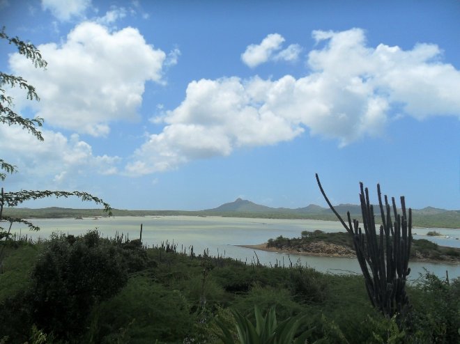 Bonaire Island Netherlands Antilles 