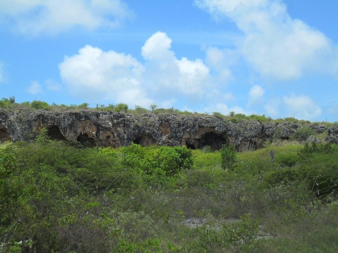 Bonaire Island Netherlands Antilles 