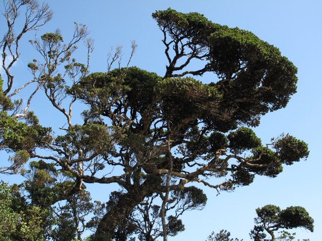 Nuwara Eliya Sri Lanka 