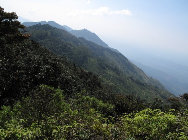 Photo Nuwara Eliya Sri Lanka Stay 