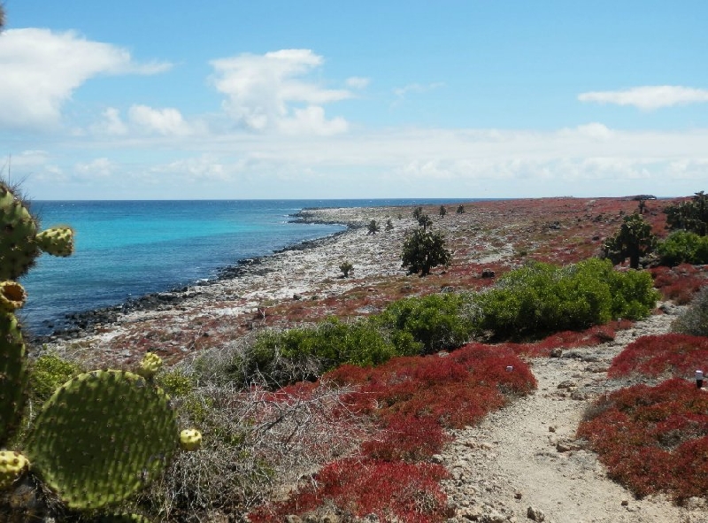 Galapagos Islands Ecuador Vacation Picture