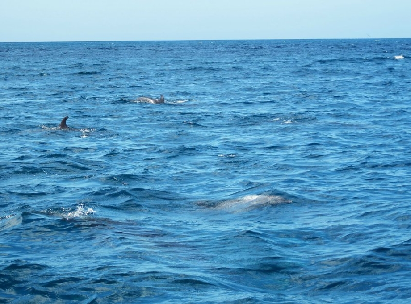 Galapagos Islands Ecuador Holiday Adventure