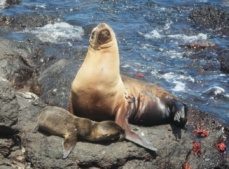 Galapagos Islands Ecuador Trip Photos