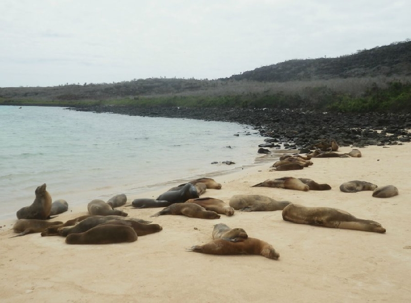 Galapagos Islands Ecuador Diary Pictures