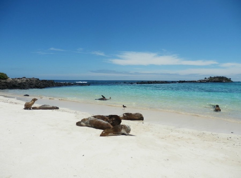 Photo Galapagos Islands 
