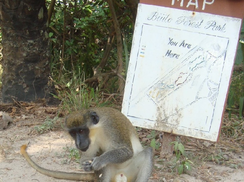 Bijilo Gambia 