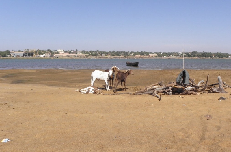 Holiday in Bamako Mali Blog Adventure