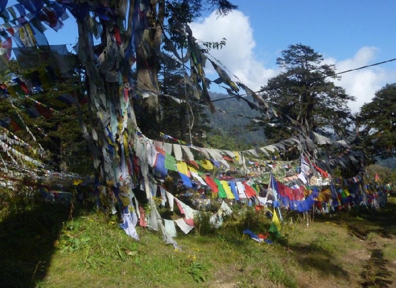 Photo Thimphu Bhutan Holiday Adventure 