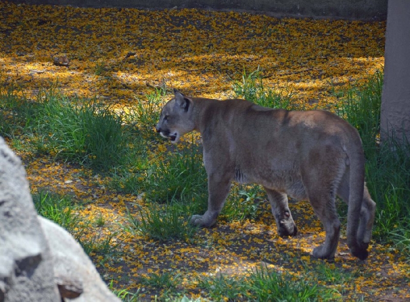 Holiday South Africa Johannesburg Zoo Travel Photo