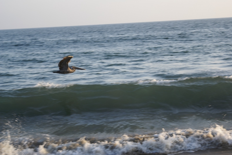 Photo Malibu Beach Holiday 