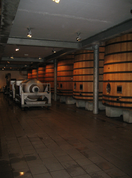 Photo Bordeaux Wine Tours 