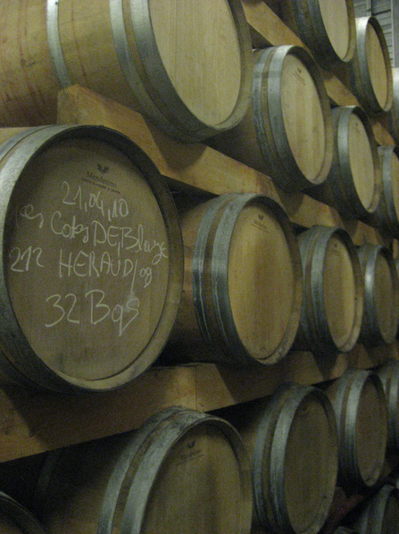 Photo Bordeaux Wine Tours 