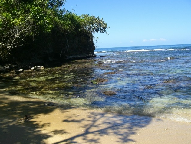 Photo Manzanillo Boat Tours 