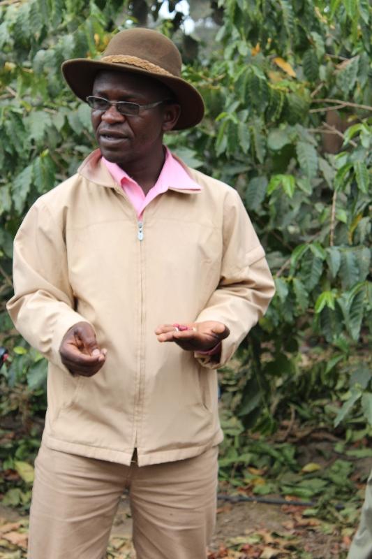 Coffee Plantation Tour guide Arusha, Arusha Tanzania