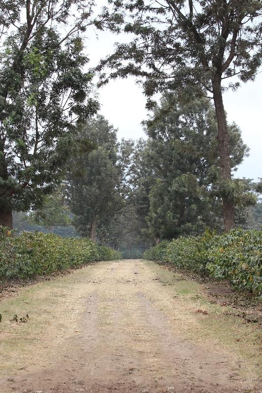 Arusha, Tanzania