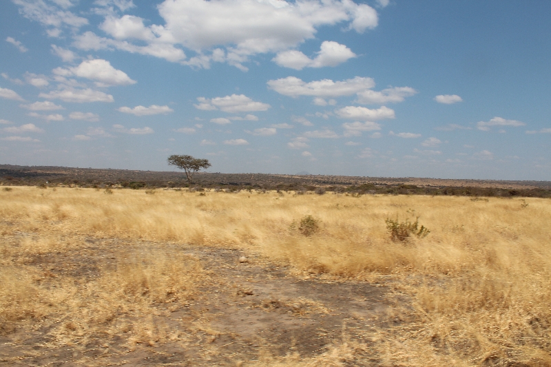 Scenery at Tarangire National Park Tanzania, Manyara Tanzania