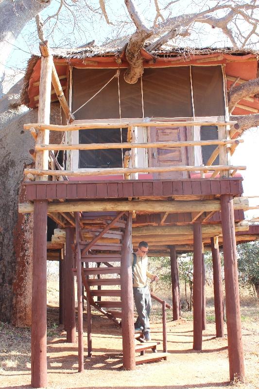 Treehouse number 6 Treetops, Tanzania