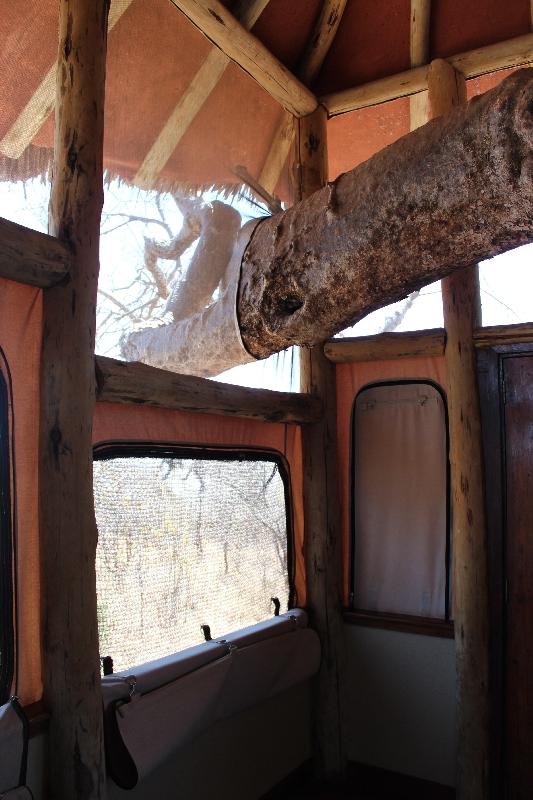 Baobab Tree branch running through our beautiful tree house, Tanzania