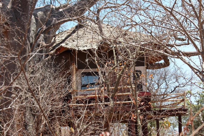 Tarangire Treetops Lodge House, Tanzania