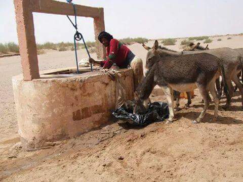  Tangier Morocco Album Photographs