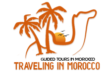 4 Days & 3 Nights Desert Tour From Fez Tangier Morocco Diary Tips