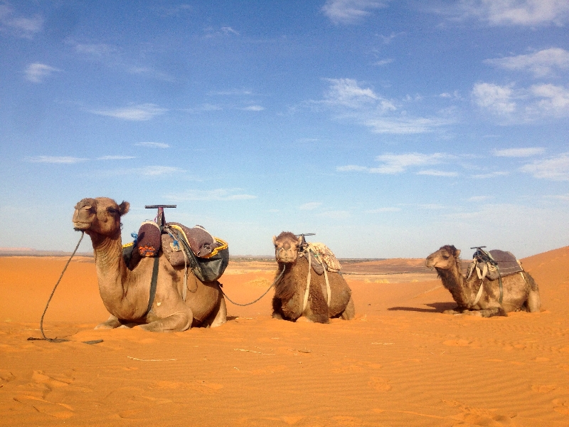 4 Days & 3 Nights Desert Tour From Fez Tangier Morocco Holiday Experience