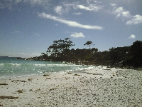 Beautiful beaches Bay of Fires