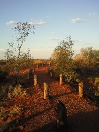 The path leading to the dining area