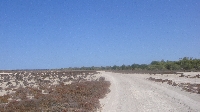 Flying over Willie Creek, Broome