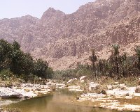 The ponds and mountain view at Wadi Tiwi