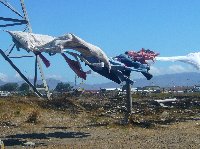 The township of Nyanga