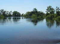 La Pampas in Rurrenabaque