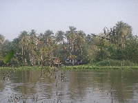 The river from our breakfast table