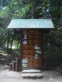 The 7 tiers of the Erawan Waterfalls