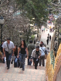 Stairs up to Wat Doi Suthep