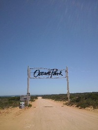 The Ocean Park in Denham