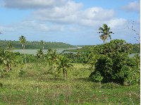 Pictures of Tonga Island