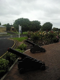 The botanical gardens 