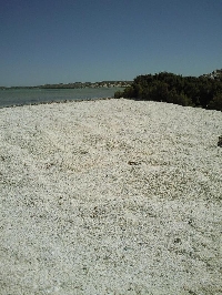 Stunning beach pictures Shark Bay