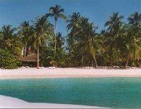 Saona Island from catamaran