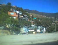 Houses near the beach