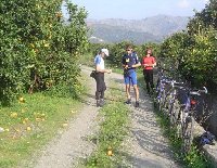 Picking oranges on a cycle tour 