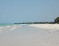 The beach of Kiwengwa in Zanzibar.