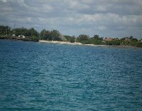 The coast of Kenya.