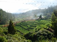 Panoramic photos of the Nilgiri Hills in Kerala, India.