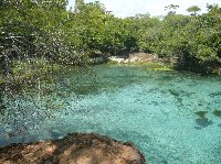 Photos of our snorkeling excursion in Lecois, Brazil