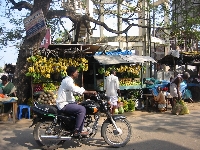 Market stand and bananas in Mahabalipuram, India