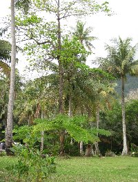 Photos of my trip to New Caledonia